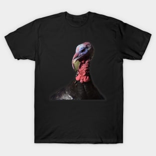 Wild Turkey T-Shirt